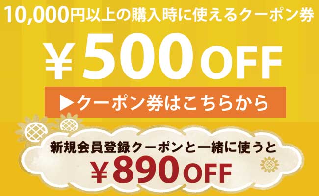 500円クーポン券