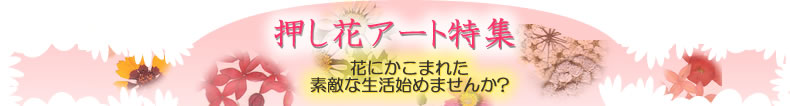 押し花アート特集 花の色を保つのり 紫外線硬化樹脂 ゆめ画材