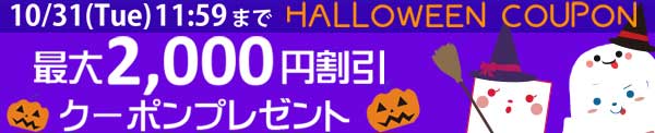 ゆめ画材 限定 張りキャンバス F10 麻100％ 中目 油彩・アクリル兼用