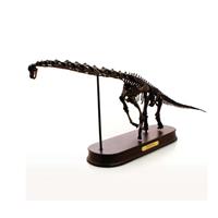 骨格フィギュア プラキオサウルス
