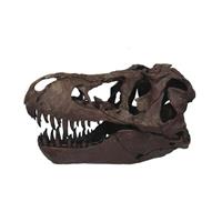 頭骨フィギュア ティラノサウルス ビッグスカル