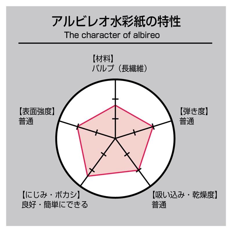 albireo アルビレオ 水彩紙 100％ パルプ 218g m2 中目 ブロック F6 