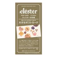 clester クレスター 水彩紙 コットン・パルプ 310g/m2 中目 大きなポストカード (118×230mm) 10枚入り CT-PC(L)