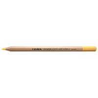 Lyra リラ レンブラント アクアレル 水彩色鉛筆 カドミウムイエローレモン (12本セット) L2010005
