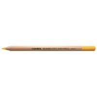 Lyra リラ レンブラント アクアレル 水彩色鉛筆 レモンイエロー (12本セット) L2010007