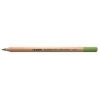 Lyra リラ レンブラント アクアレル 水彩色鉛筆 クロームグリーン (12本セット) L2010068