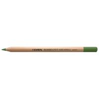 Lyra リラ レンブラント アクアレル 水彩色鉛筆 オリーブグリーン (12本セット) L2010073