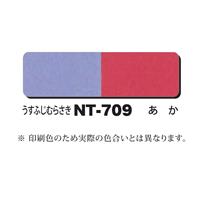 NTラシャボード NT-709 両面2色 A4 (10枚入)