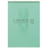 CROQUIS 学校教材用 ケナフクロッキー SGブック SG-9655 （ホワイト） B5 緑表紙 （10冊入)