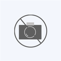 【お徳用パック 送料無料】 YKK 玉付きファスナー 10本×2パック アンティークゴールド 16cm モスグリーン