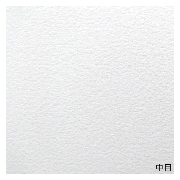 セザンヌ 水彩紙 ブロック 中目 F8 (379×455mm)