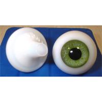 英国の目 10mm 緑 ※人形の目