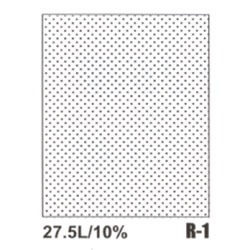 ラジカルスクリーン R-001 27.5L10％