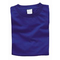 Artec カラーTシャツ XL ロイヤルブルー