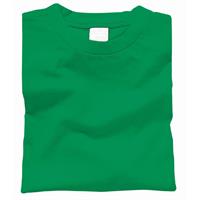 Artec カラーTシャツ XL グリーン