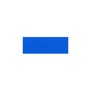 ターナー ネオカラー 蛍光色 水性ブライト 600ml ブルー
