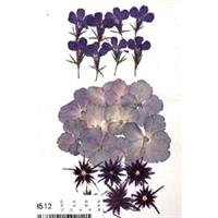 押し花用 クリアーのり 30g ゆめ画材