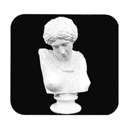 石膏デッサン 大胸像 ギリシャ婦人