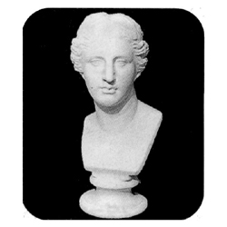 石膏デッサン 胸像 ミロのヴィナス 丸