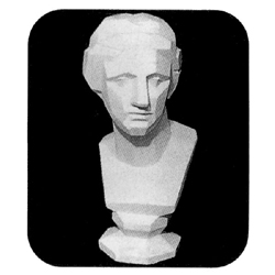 石膏デッサン 胸像 ミロのヴィナス 角 | ゆめ画材