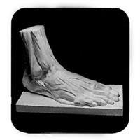 石膏デッサン像 部分 男の足 解剖