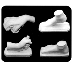 石膏デッサン像 部分 手と足セット (男 女4点組) | ゆめ画材