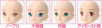 彩色済みヘッド