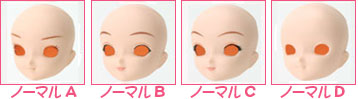 入れ目タイプ
